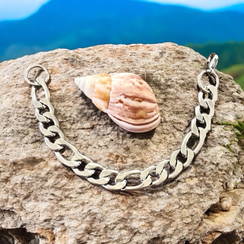 🆕Figaro Stainless Steel Bracelet Stainless Steel